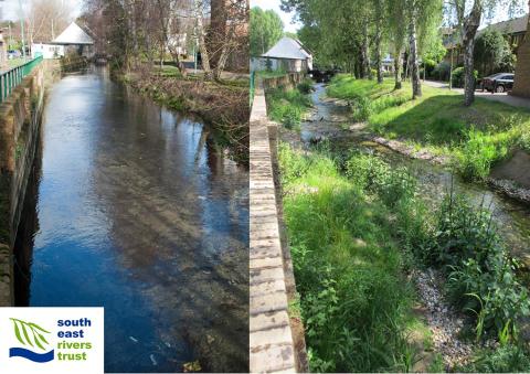 Upper Wandle - WFD related river restoration